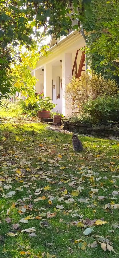 Готель Egkoris Vendeghaz Bakonyszucs Екстер'єр фото